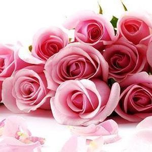 Meet your Posher, Angelaa